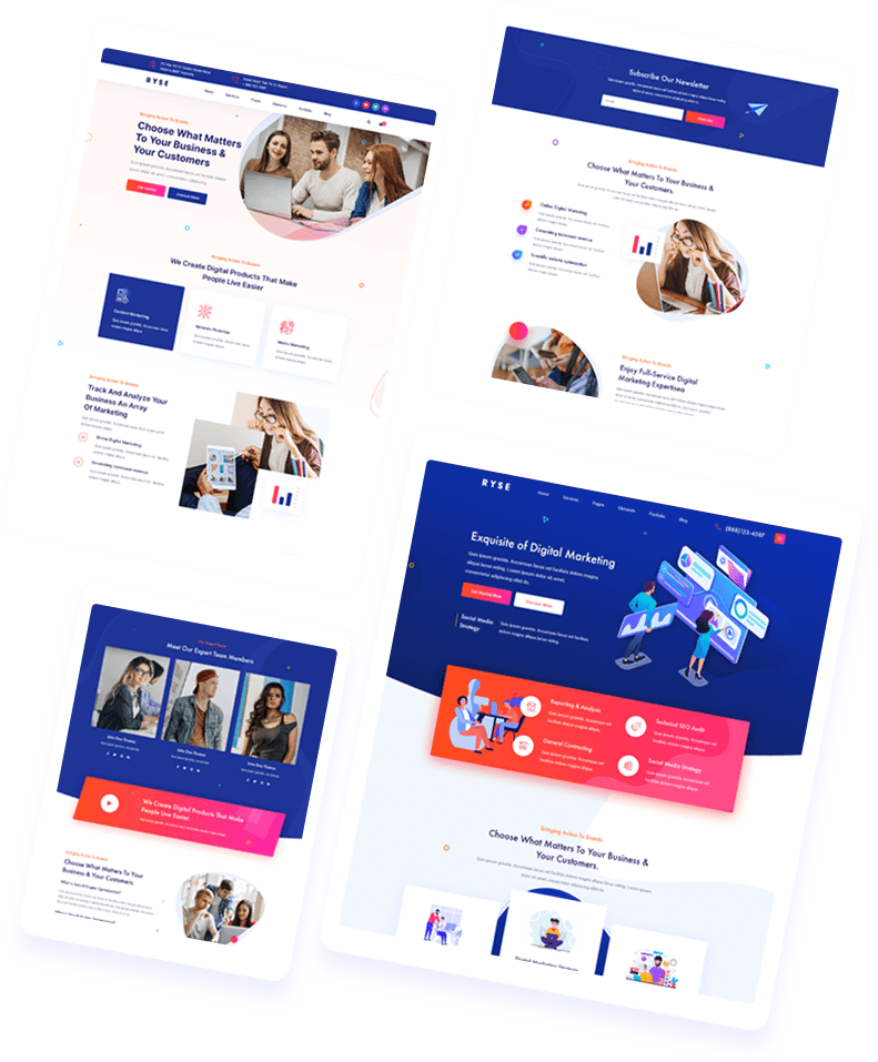 DeepMyze service portfolio and statistics showcasing global success.